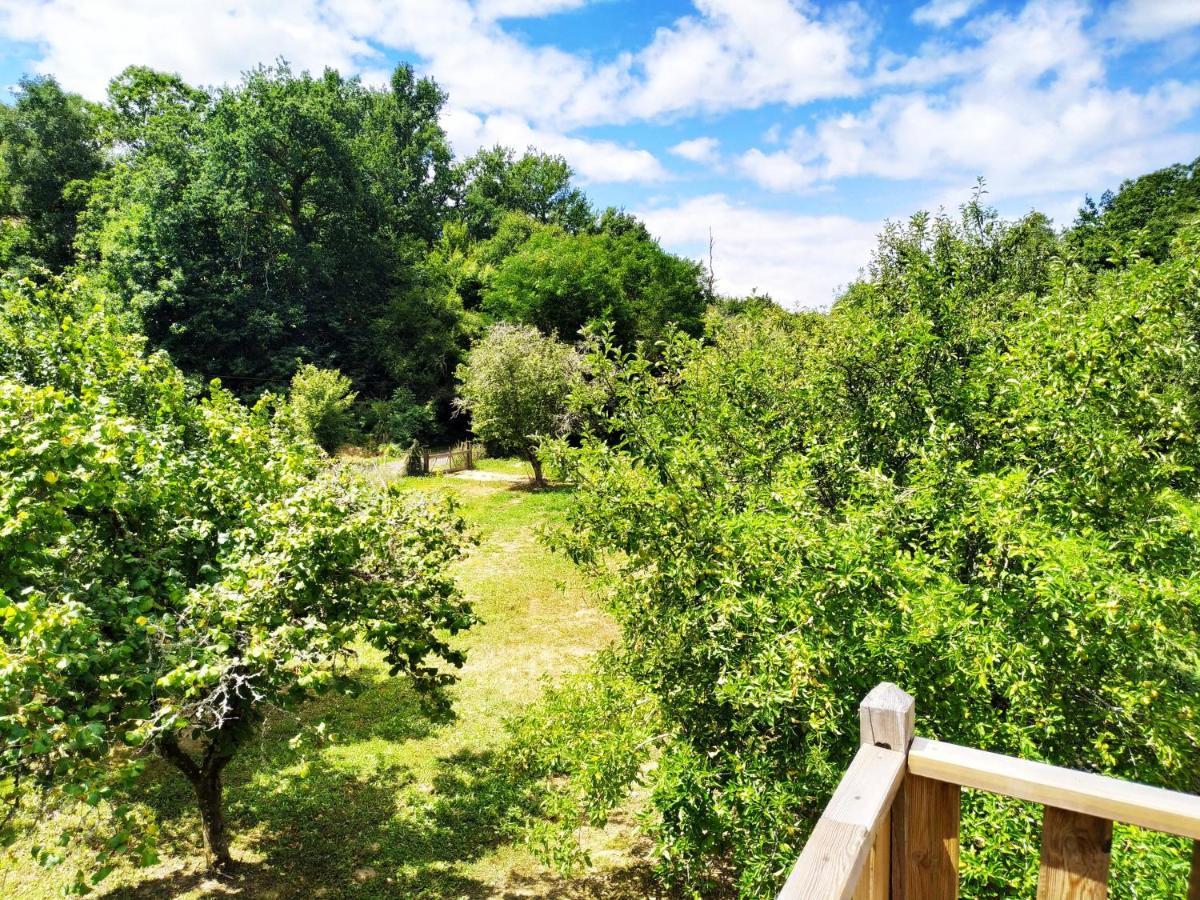 CAP NATURE Le Chalet IDEAL PROS et RELAXATION Boulazac Isle Manoire Extérieur photo